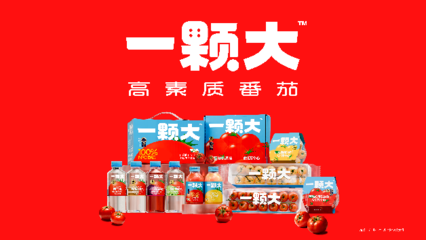 一顆大櫻桃番茄的東南亞之旅 中國(guó)蔬菜“出?！卑鎴D再拓展