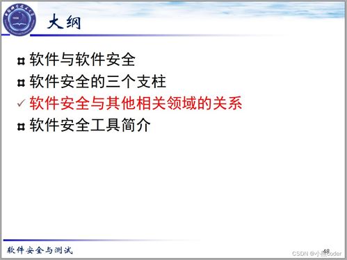 2024年網(wǎng)絡安全 軟件安全基礎、架構組件與安全開發(fā)詳解